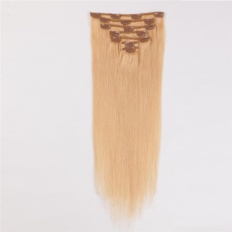 China clip in human hair extensions factory QM101